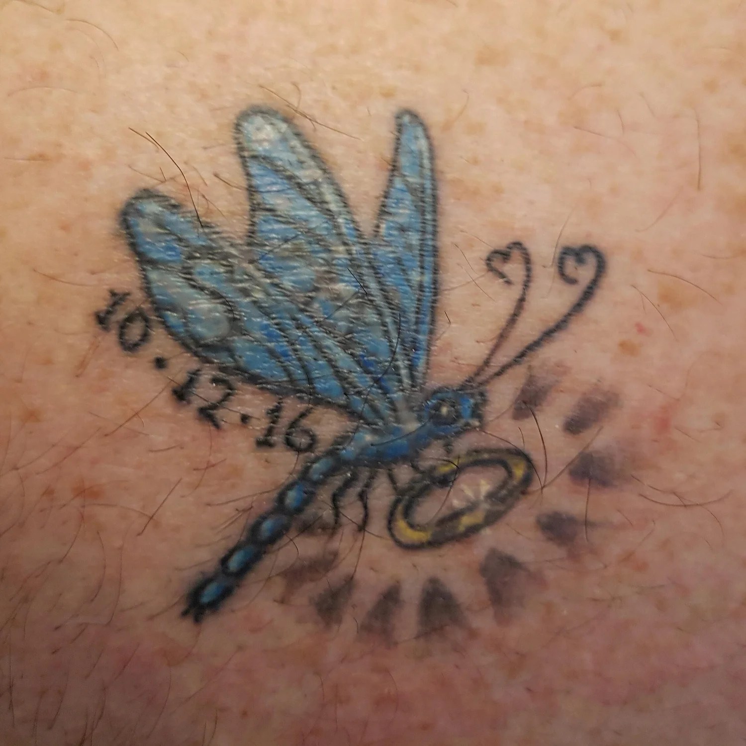 Tattoo of a dragonfly carrying a halo.
